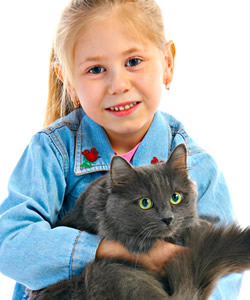 Child holding grey cat