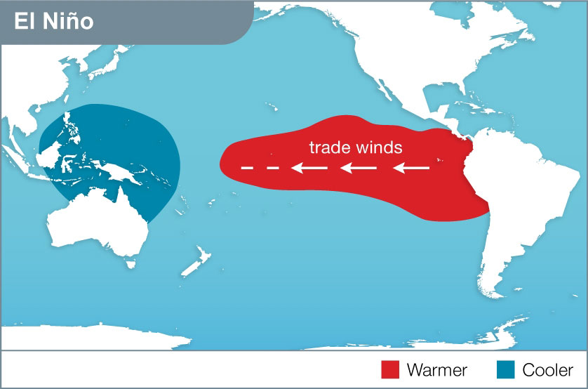 Map of Pacific Ocean with Australia to the left and South America to the right. An area of cooler water off Queensland round to the northern coast of Western Australia is highlighted while thin arrows pointing west from South America indicate the weakening trade winds.
