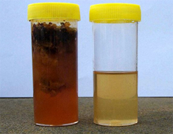 2 honey samples which are not correct, one has sediment in it the other isn't a full container