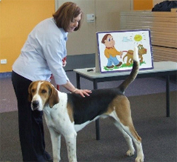 Pet educator showing how to touch the dog, educational materials in background