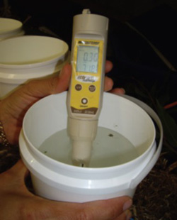 Portable EC meter in a sample of water.