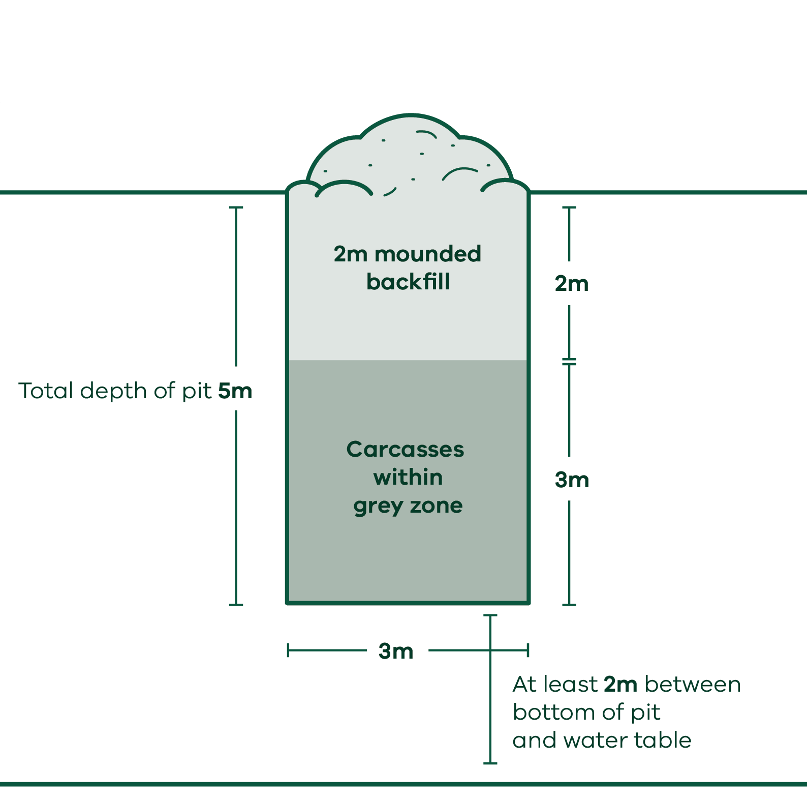 Diagram of traditional trench-style burial pit that is 5m deep, 3 m wide with a 2mm mounded backfill at top. There must be at least 2 m between the bottom of pit and water table.