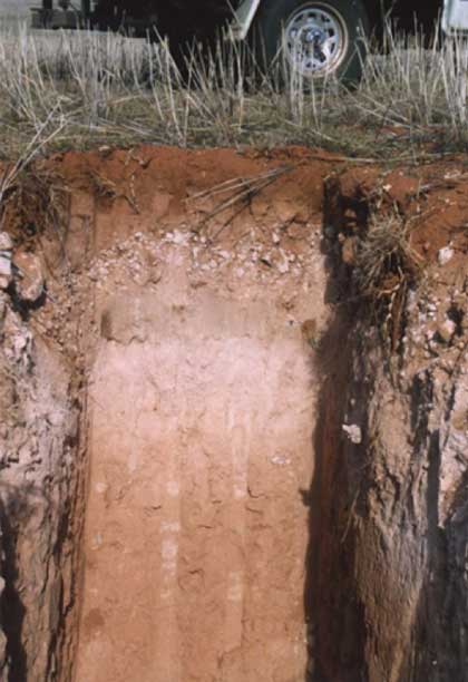 The face of a soil pit showing a rubble carbonate layer below the topsoil