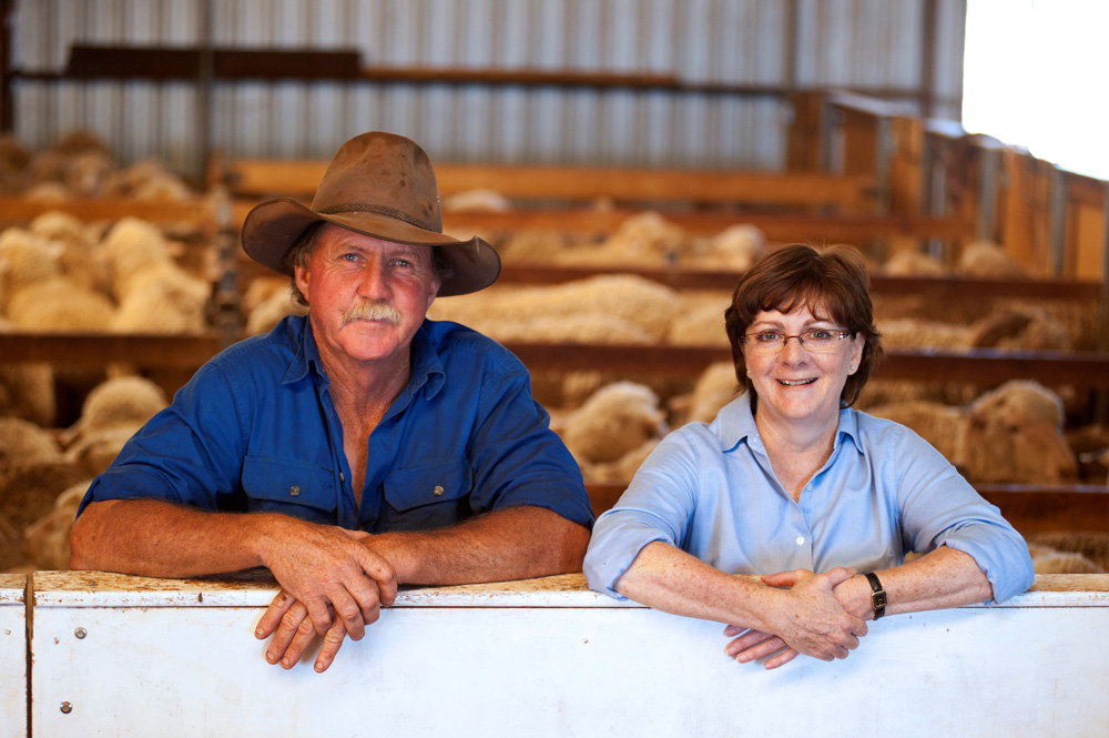 Farmers Susan and Bernard in the sheep shed with sheep in rows behind them