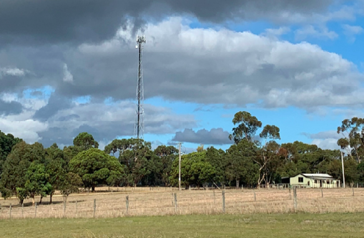 Mobile phone tower amongst trees with a field in the foreground