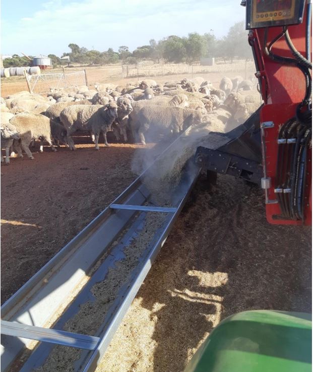 Machine adding feed into long trough with sheep in background.