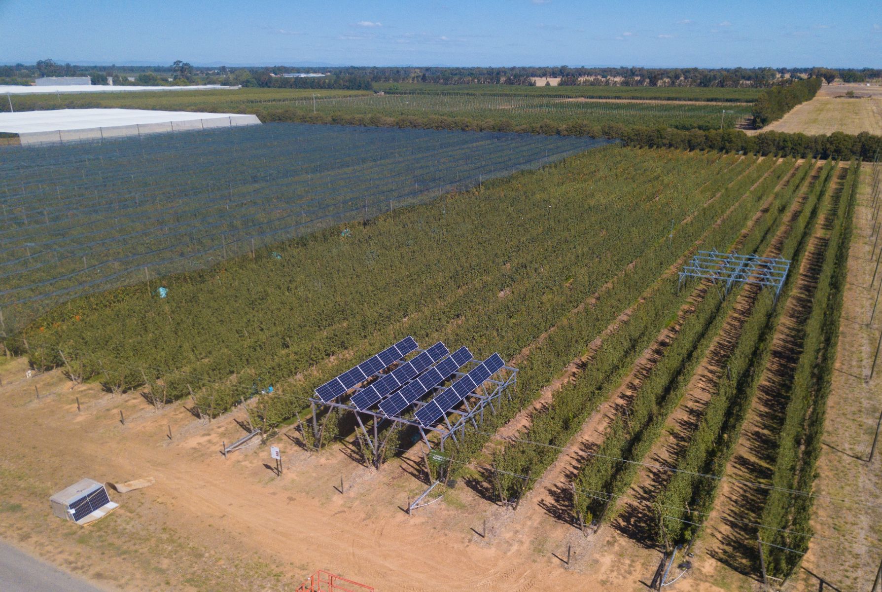 An aerial view of an orchard with solar panels