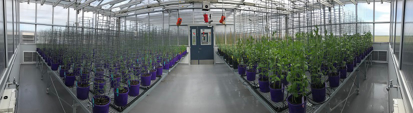 image of plant quarantine facility at Horsham