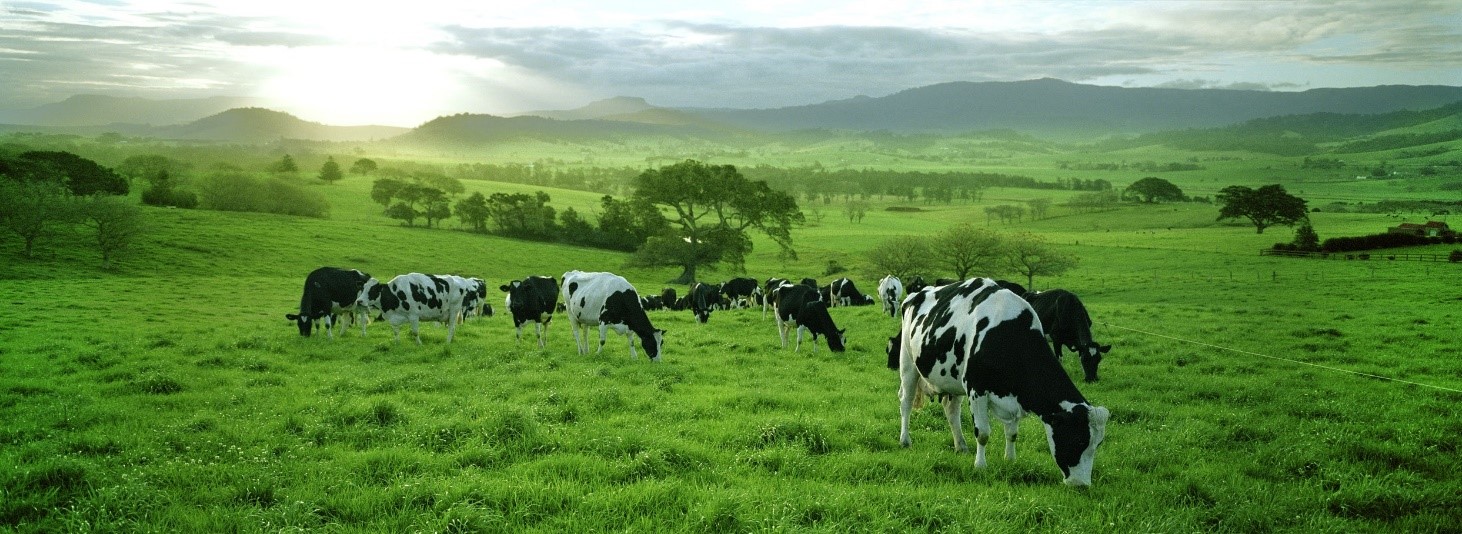 Grazing WHPs should expire prior to livestock grazing pasture .