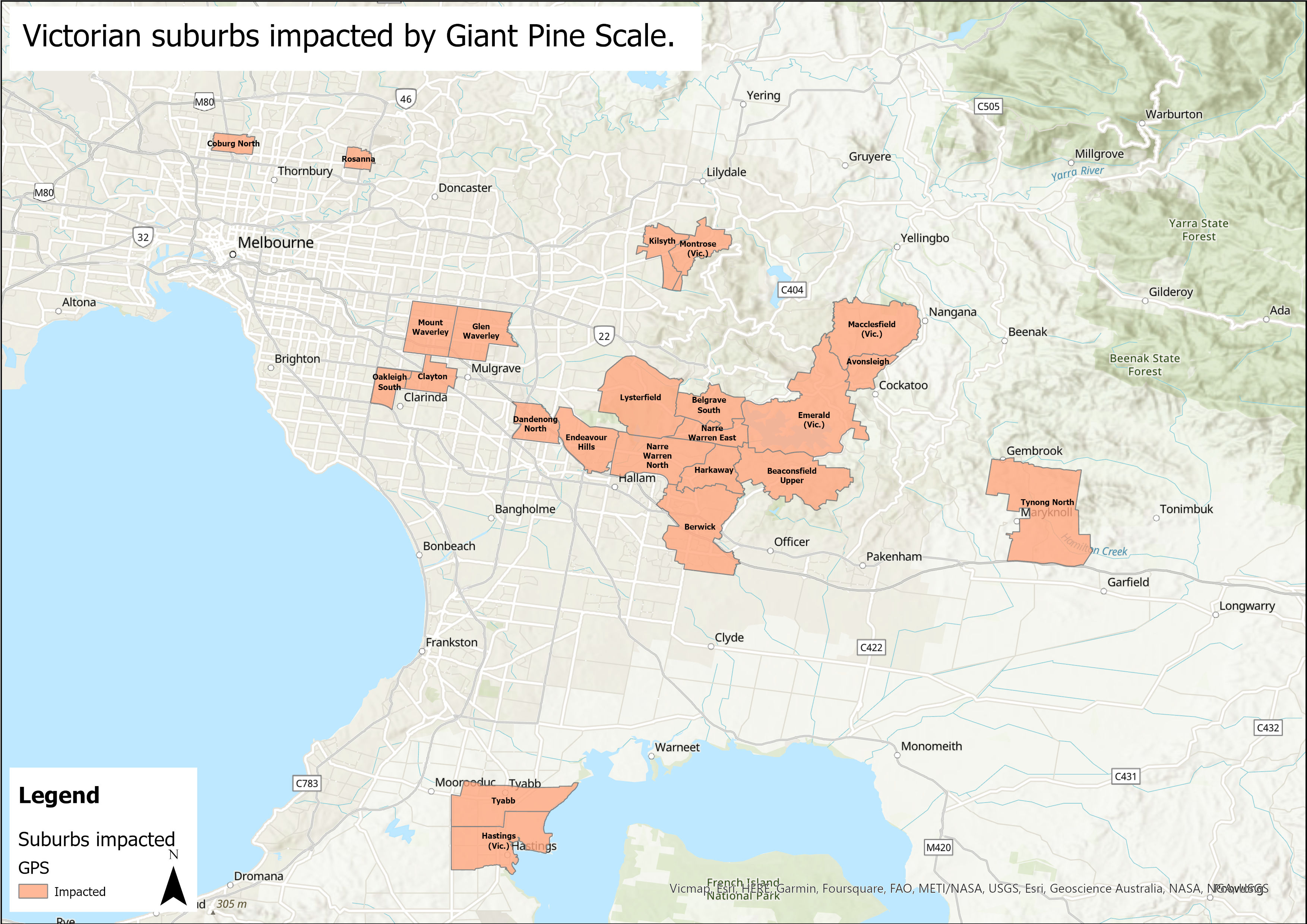 Map with orange shading showing suburbs of Victoria impacted by Giant Pine Scale at the time of publishing including Coburg North, Rosanna, Kilsyth, Montrose, Mount Waverley, Clayton, Oakleigh South, Macclesfield, Avonsleigh, Emerald, Belgrave South, Lysterfield, Narre Warren East, Dandenong North, Endeavour Hills, Narre Warren North, Harkaway, Beaconsfield Upper, Berwick, Tynong North, Tyabb and Hastings.