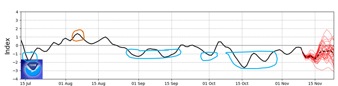 NOAA graph of the SAM showing negativity for October. Currently the SAM value is close to zero, with NOAA predictions to return to weak negativity.