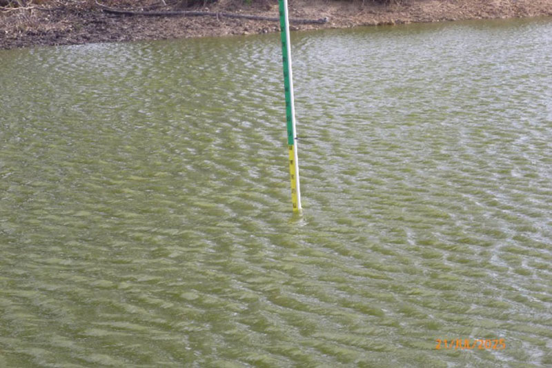 Green-and-yellow pole with depth marking standing in a farm dam.