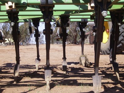 Narrow points attached to tynes attached to a cultivator bar.