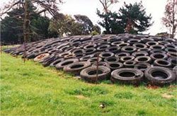 Grassed paddock with lots of tyres stacked neatly