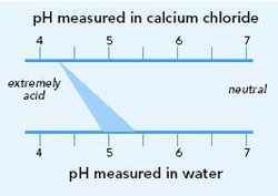A pH of 4.3 that was measured in calcium chloride could be around 5pH measured in water