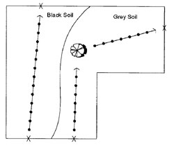 Diagram showing locations for taking 30 samples on a large, irregular shaped paddock with black soil on the left half of the paddock and grey soil on the right. From the middle of the black soil area at the bottom of the paddock, sample up to the top of the paddock on a slight diagonal to the right. On the right, grey soil side of the paddock, sample up towards the middle where the paddock continues out to the right and then sample on a slight diagonal line until the paddock boundary.
