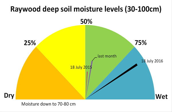 Soil moisture speedos illustrate the changes in deep soil moisture levels (30-100 cm) over time.  In this example at Raywood, soil moisture was in the dry range (less than 25% moisture capacity in May this year and in July 2015 it was still less than 50% capacity.  By July 4 this year, soil moisture had increased to above 50%.