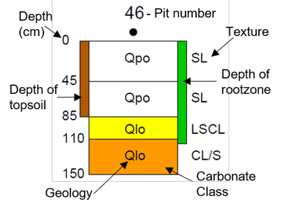 A stacked column showing the characteristics of a single soil pit in a Mallee soil survey. At 0-45cm texture is a Woorinen formation sandy loam, 45-85cm a Woorinen formation sandy loam, 85-110cm a Loveday soil light sandy clay loam Class IIIAS carbonate layer, 110-150cm Loveday soil Clay loam/Sand Class IIIAL carbonate layer. Topsoil depth is 85cm and rootzone depth is 115cm.