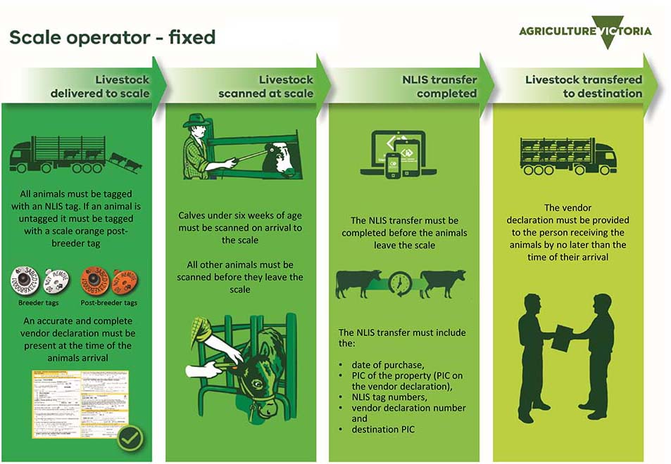 Infographic showing how a fixed scale operation fits into the process