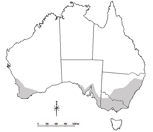 Drawing of Australia with grey shaded areas showing the known distribution of Balaustium mites. Shaded areas include Victoria, south-west tip of Western Australia, south-east coastal area of South Australia and south-east area of New South Wales.