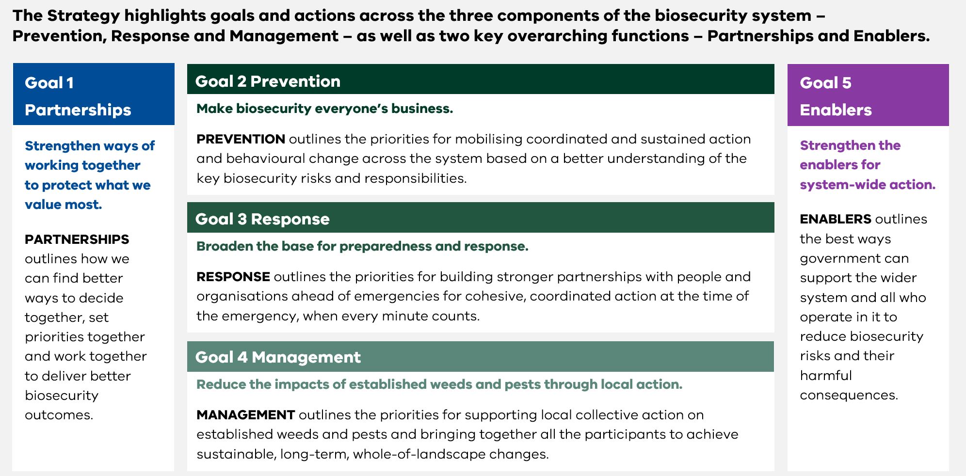 A graphic of the 5 strategic goals for the strategy. This information is available in written form on pages 5 and 6 of the strategy.