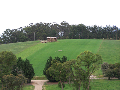 Green hillside field containing a silage shed, and trees above and below