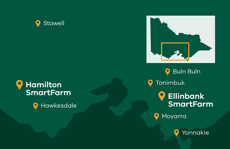 Figure 4: Map of MultiMix and Resilient Forage pasture trial site locations across Victoria. Map showing multispecies pasture sites in Stawell, Hamilton SmartFarm, Hawkesdale, Buln Buln, Tonimbuk, Ellinbank SmartFarm, Moyarra and Yannakie.