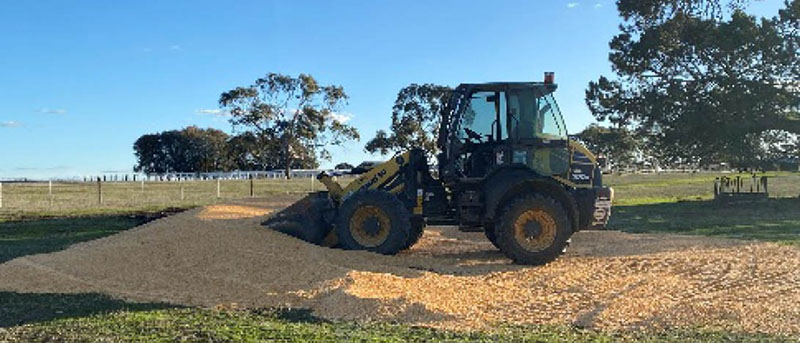 A tractor scoops maize for spreading as feed.