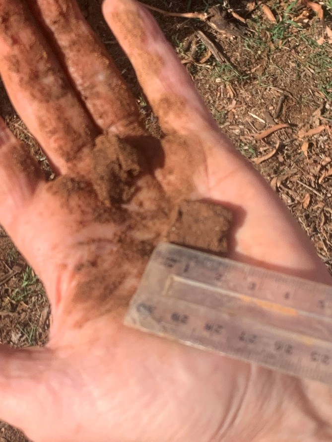 A ribbon of soil on the palm of a hand is measured with a ruler.