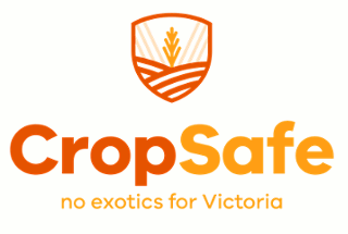 CropSafe logo — made up of emblem with sheaf of wheat and text CropSafe no exotics for Victoria