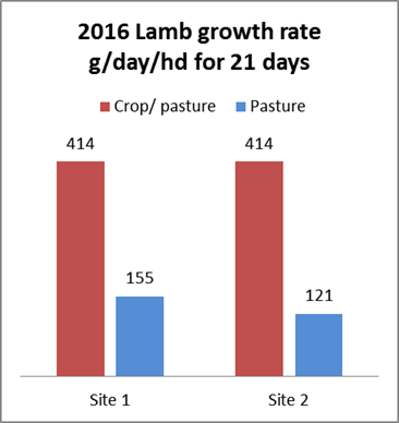Graph showing the growth rates for 2016 lambs on crop / pasture and just pasture on 2 sites.