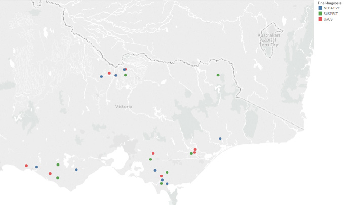 Map of Victoria showing the location of 7 investigations (2 confirmed UAUS, 3 negative and 1 suspect) in northern dairy region, 6 investigations (2 confirmed UAUS, 2 suspect and 2 negative) in the south-west and 12 investigations (4 confirmed, 4 suspect and 4 negative) in the south-east dairy region.