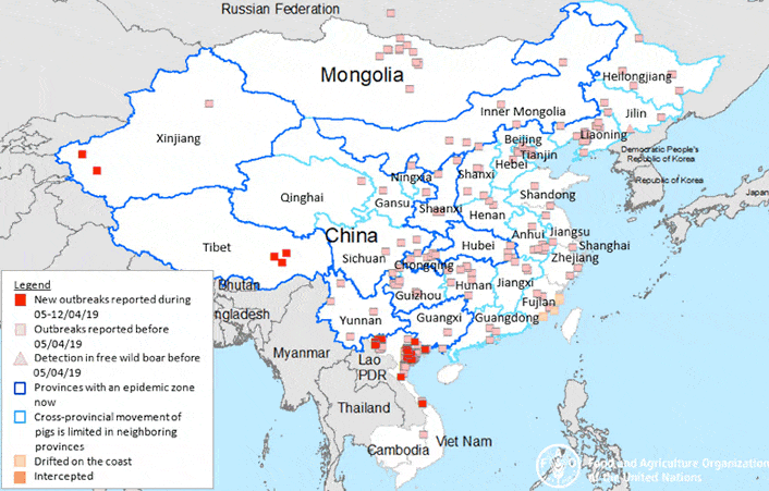 Cases of African swine fever across Asia from August 2018 to April 2019