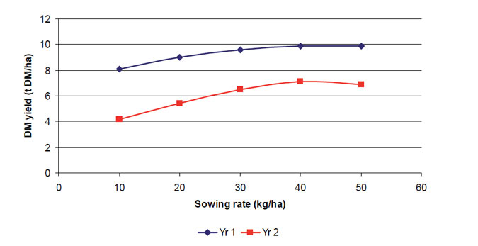 This graph shows the effect of sowing rate of annual ryegrass on total dry matter production for year 1 and year 2