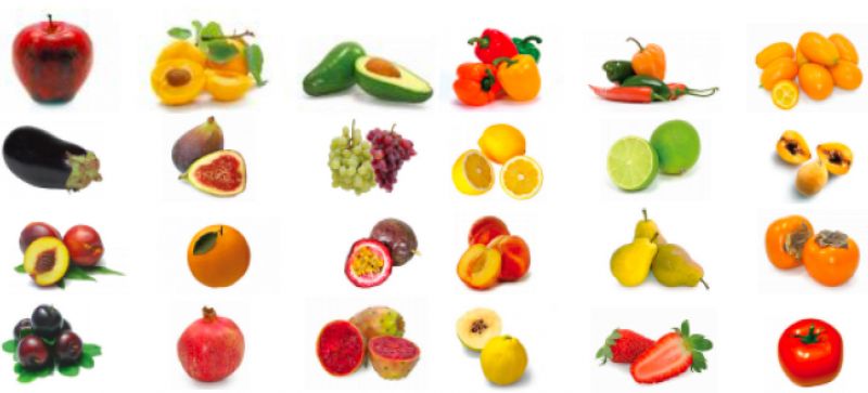 apple, apricot, avocado, capsicum, chillies, cumquat, eggplant, fig, grapes, lemon, lime, loquat, nectarine, orange, passionfruit, peach, pear, persimmon, plum, pomegranate, prickly pear, quince, strawberry, tomato