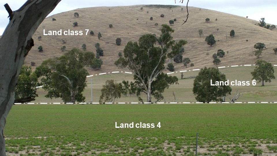 Land classes of areas of a farm. Hill: land class 7, Trees: land class 6, grass: land class 4
