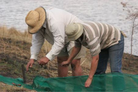 Two people working together to build a sediment fence using posts in the ground, green shade cloth and wire to fasten the shade cloth to the post.