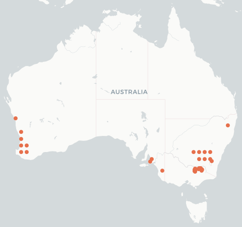 Map of Australia indicating E pallipes in SW WA, SE SA, NW Vic and southern NSW