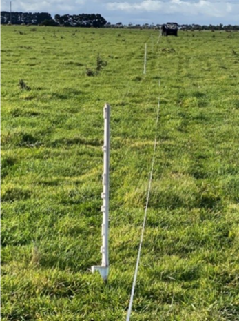 Temporary electric fence- white post and wire in a paddock