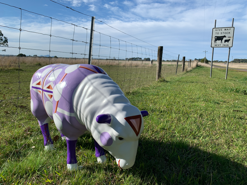 Sheep sculpture on the side of the road standing on green grass with a cattle crossing sign in the background. Sculpture is painted in contemporary geometric style. Shapes include triangles, circles and straight lines. Colours include purple, orange, dark red and pink. 