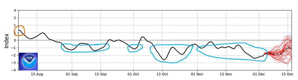 NOAA graph of the Southern Annular Mode showing mainly negativity for November 2025. The SAM value is close to -2.0 with NOAA predictions to return to stay negative.