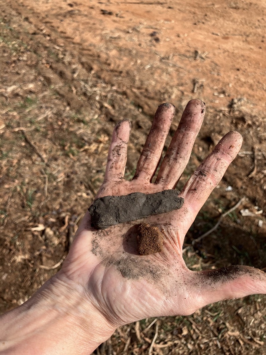 Ribbon of soil on an open hand.