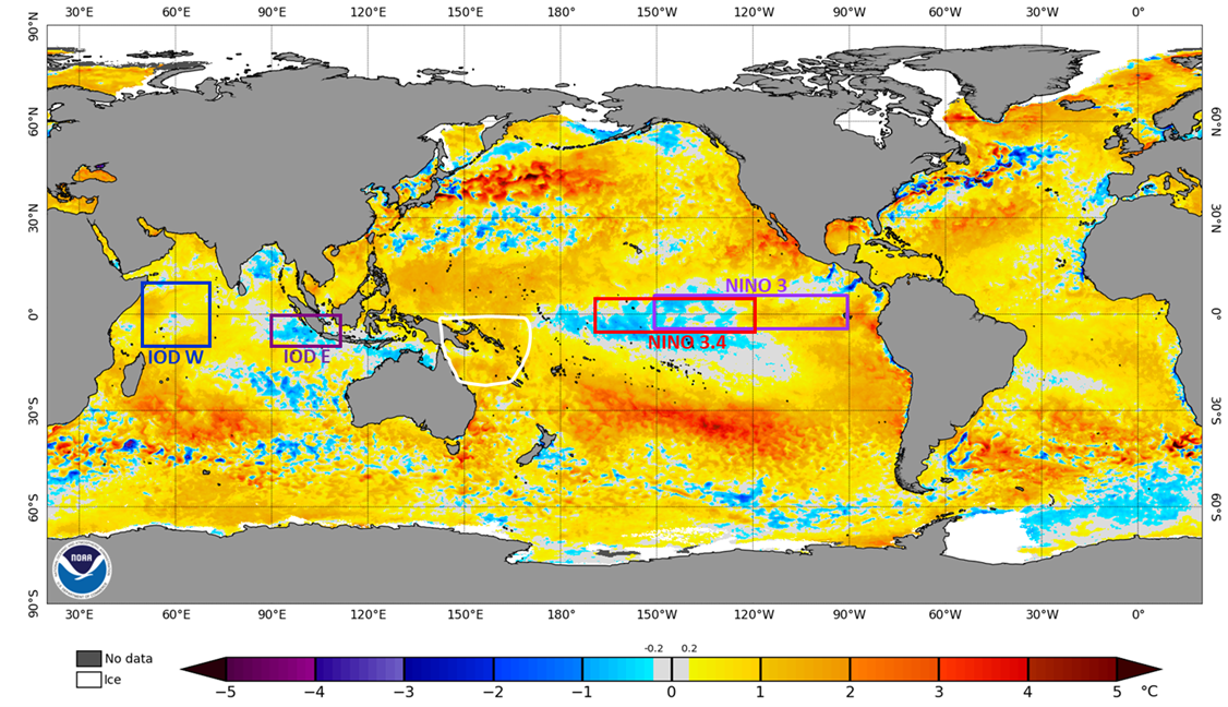 Map of the world showing sea surface temperature anomalies, the central equatorial Pacific is slightly cooler than average. The Coral Sea is warmer and the Timor Sea is slightly cooler.