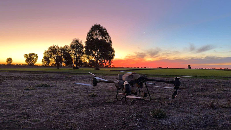A drone rests in a field at sunset with a line of trees in the distance.