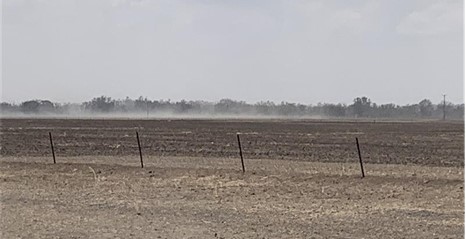 Wind blowing dust across a bare paddock with fence posts and sparse vegetation under a hazy sky