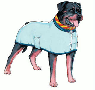 Sketch of guard dog wearing red and yellow diagonal stripe collar