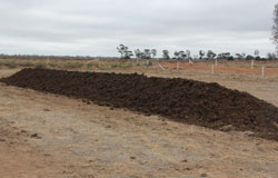 A compost windrow
