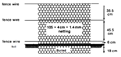 Wire Mesh fencing diagram. 105x4cmx1.4mm netting, 18cm of netting buried under soil, 6cm of netting between ground and 1st fence wire, 45.5cm of netting between 1st and 2nd fence wire, 35.5cm between 2nd and 3rd fence wire