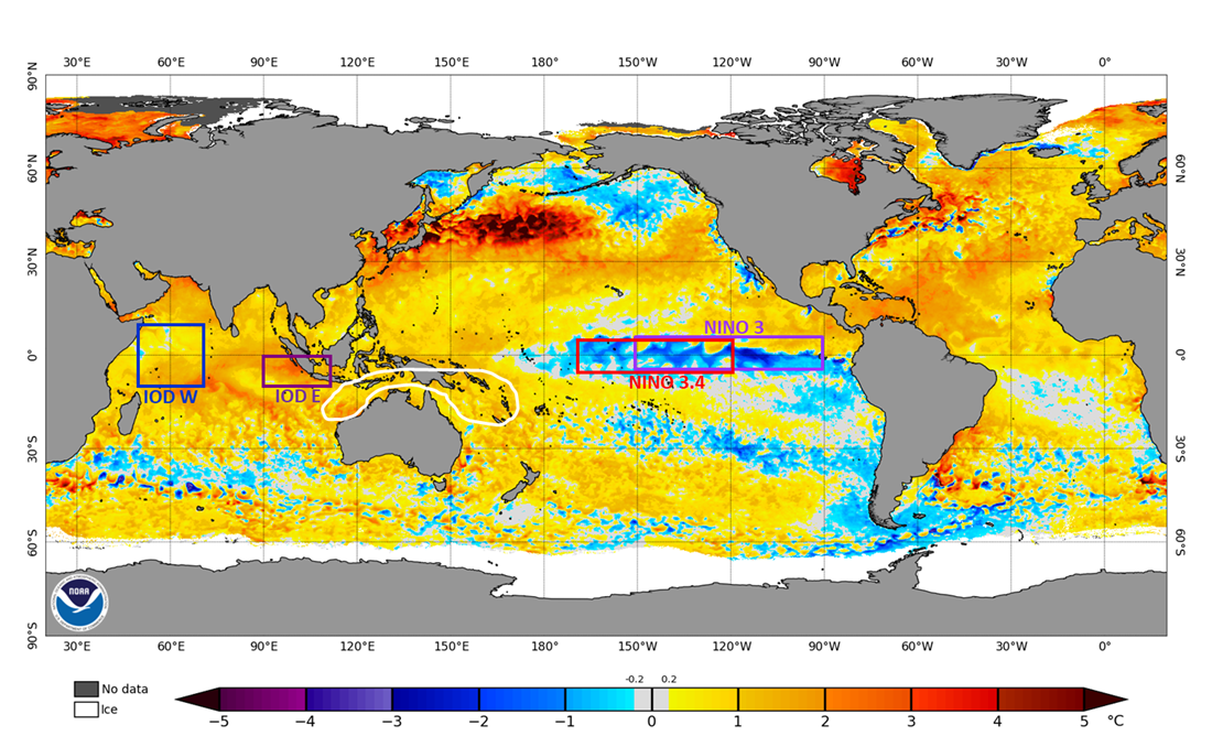 Map of the world showing sea surface temperature anomalies, the central equatorial Pacific shows a cool zone. The Indian Ocean is very warm off Sumatra and there is warmer water northeast of Australia in the Coral Sea.