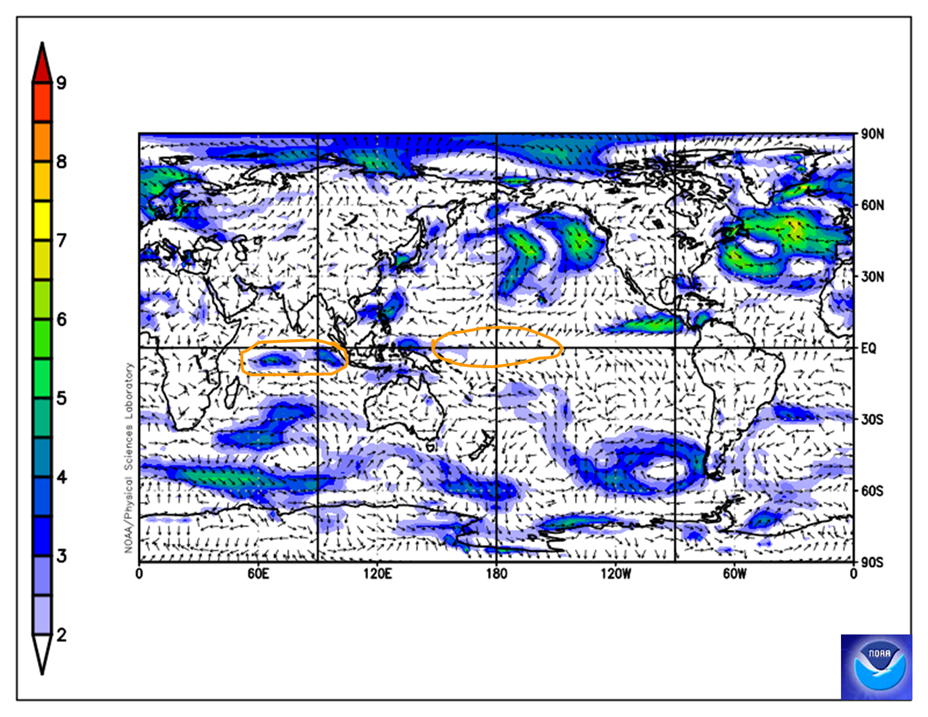 Map showing normal trade wind strength along the equator and a region of stronger westerly wind in the central and eastern Indian Ocean.